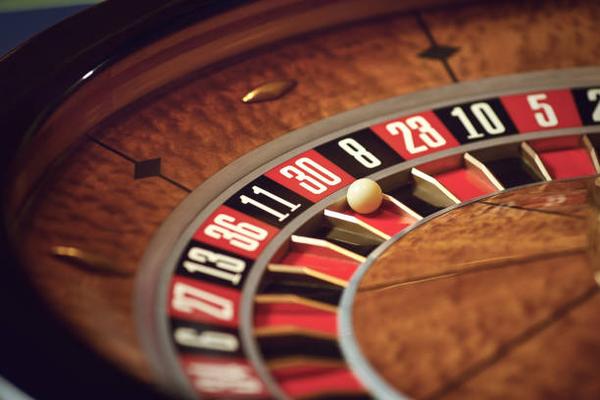 Exploring Platform Features Across betting sites